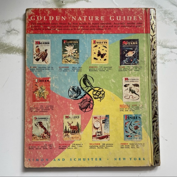 A Little Golden Book - About the Seashore - Picture 9 of 10